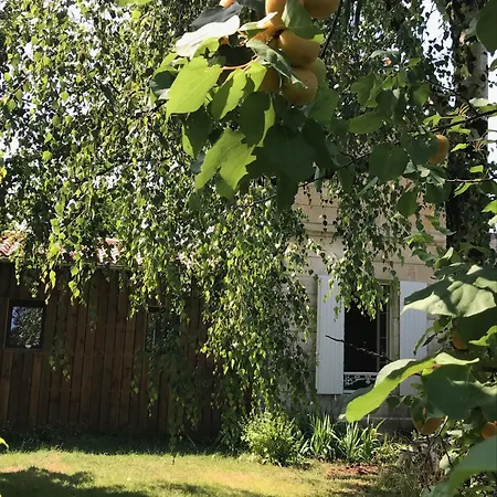 Le Petit Horizon, Neuf, Calme, Parking, Centre Tatil Evi Niort