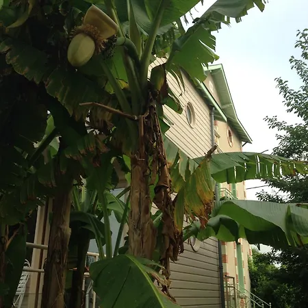 Le Petit Horizon, Neuf, Calme, Parking, Centre Feriehus