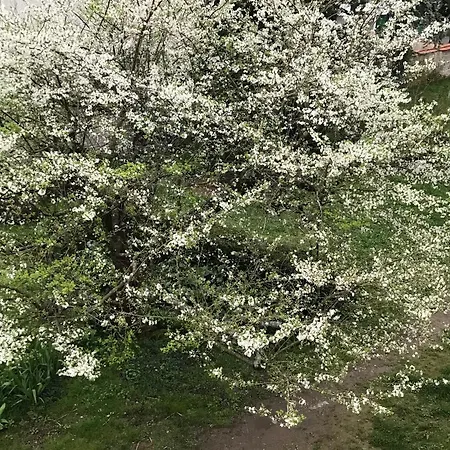 Feriehus Le Petit Horizon, Neuf, Calme, Parking, Centre *