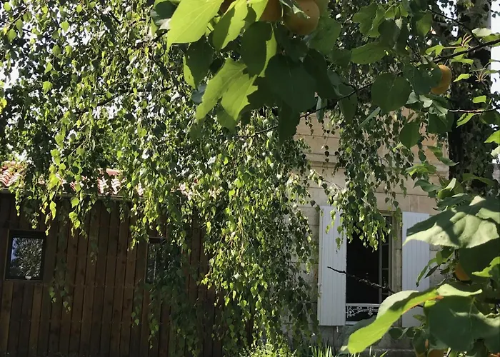 Le Petit Horizon, Neuf, Calme, Parking, Centre Сasa de vacaciones Niort