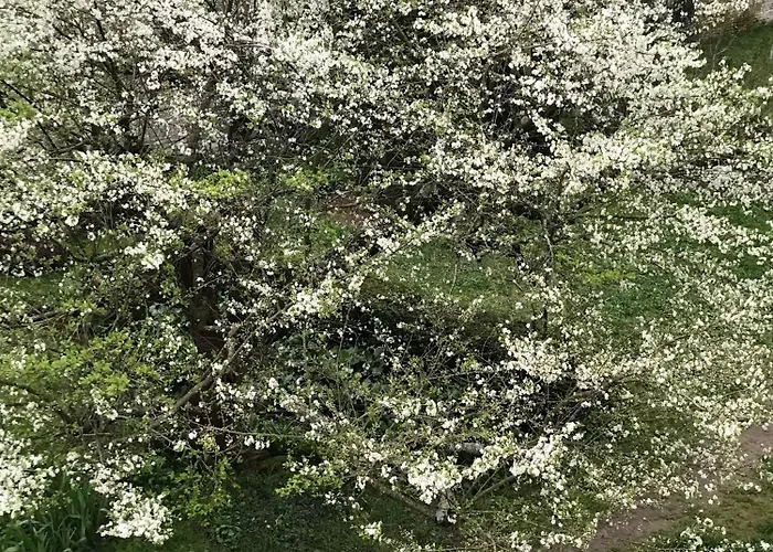 Сasa de vacaciones Le Petit Horizon, Neuf, Calme, Parking, Centre *